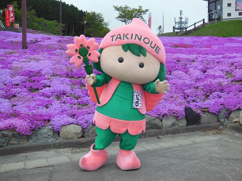 (追記あり)5月27日　滝上町　今日の芝ざくら滝上公園2017・・・12