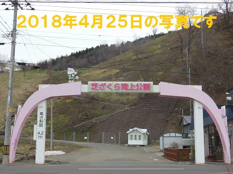 2018年　芝ざくら滝上公園　入口アーチ前の定点撮影をまとめました