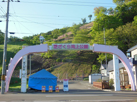 6月1日　滝上町　今日の芝ざくら滝上公園2021・・・今日から閉鎖中