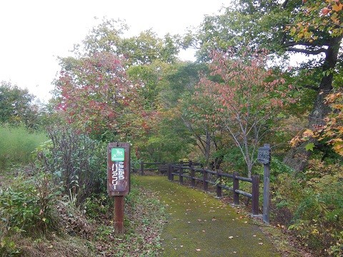 10月5日　滝上町　渚滑川渓谷遊歩道　錦仙峡2022・・・2