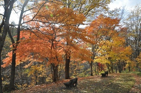 10月22日　滝上町　渚滑川渓谷遊歩道　錦仙峡2022・・・10