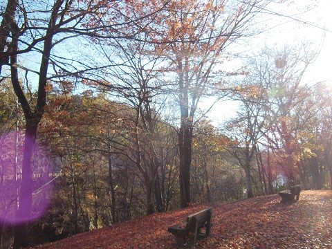 10月26日　滝上町　渚滑川渓谷遊歩道　錦仙峡2022・・・11