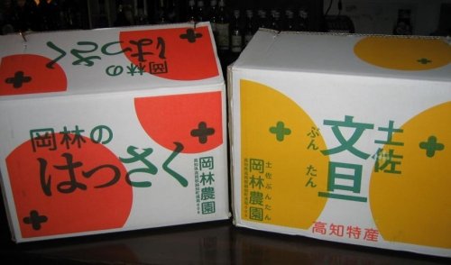 今年も