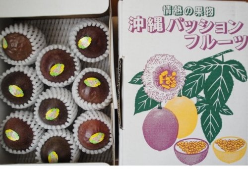 エビバデ～