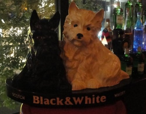 看板犬？