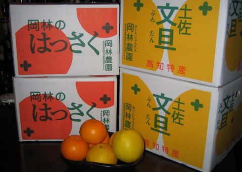 そろそろ