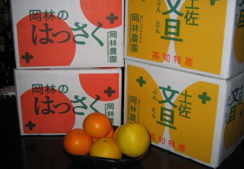 高知直送