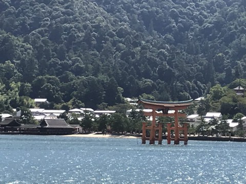 戻ってきました!