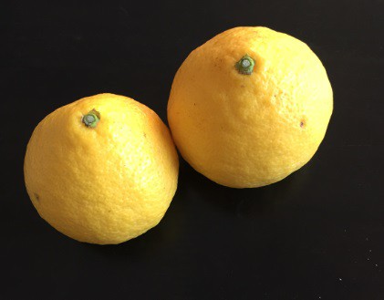 日向夏