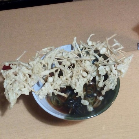 久しぶり涼しく　夏野菜が研いどいているので　野菜かき揚げなんかが