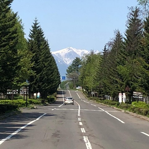 春はお別れの季節　本日は臨休