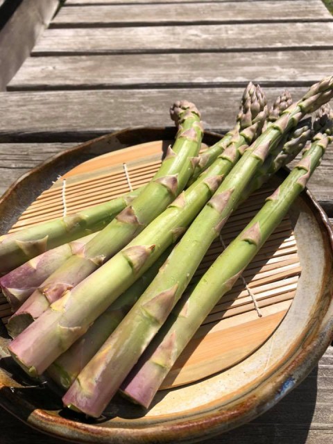 【クラフト蕎麦9種】旬　アスパラ　日の光を沢山浴びたら甘みがいっぱい