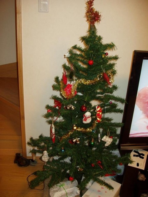 クリスマスツリーを出しました