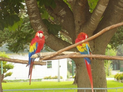 動物園で過ごした1日♪