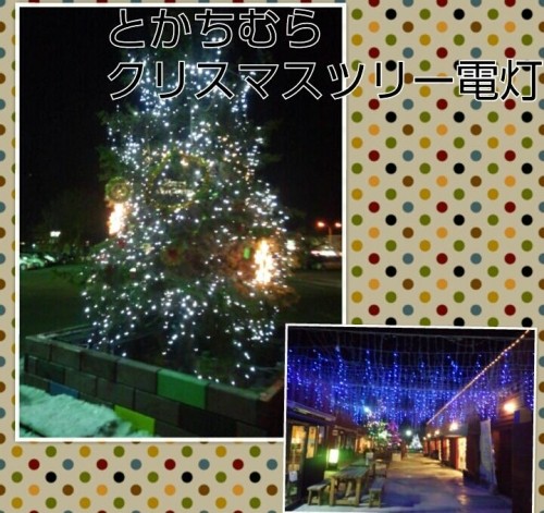 とかち村 クリスマスツリー♪