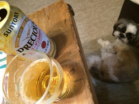 飲んでみる、コラーゲン入!