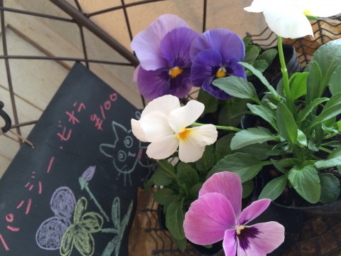 お休みのお知らせ。