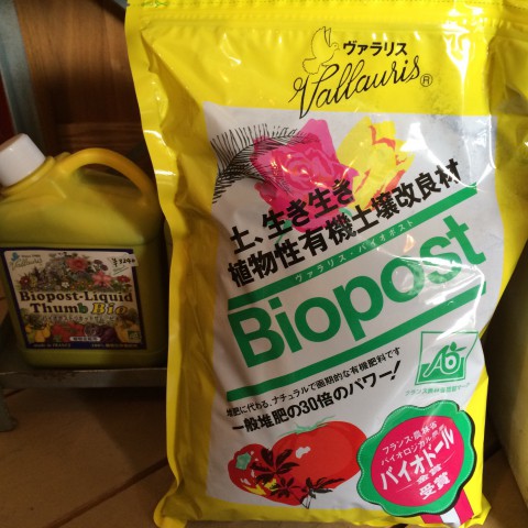バラの追肥にもバイオポストを。