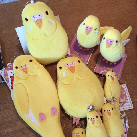 幸せの黄色いインコ。