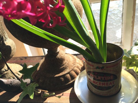 2月8日(月)は午後1時から開店。