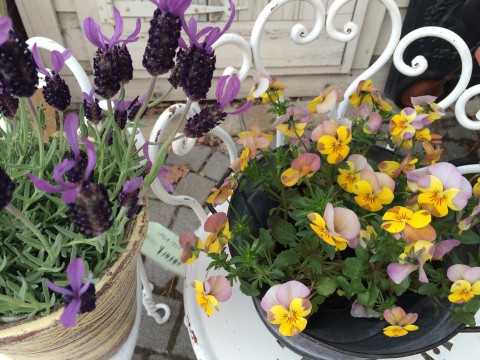 明日 27日水曜日はお休みです。