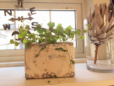 明日、明後日は、おやすみです。