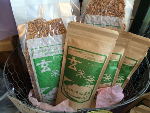 チコリー入り玄米茶入荷!