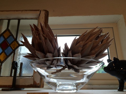 明日20日水曜日は、午後2時から営業!