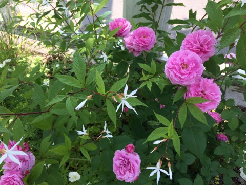 お待ちしてますね