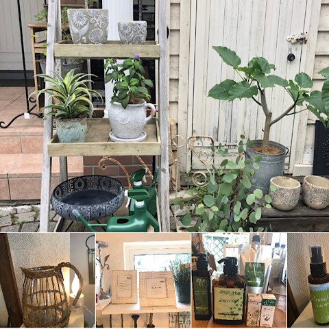 新商品