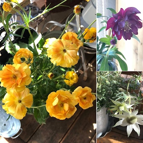 お花も少し。
