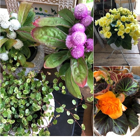 お花を少し