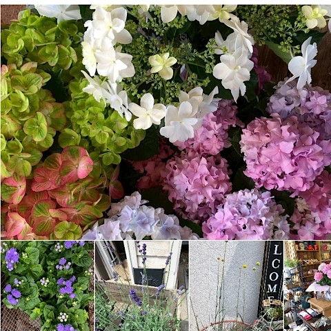 お花色々