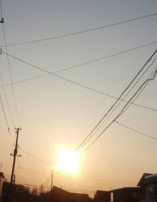 今日も顔コリほぐし屋さん♪