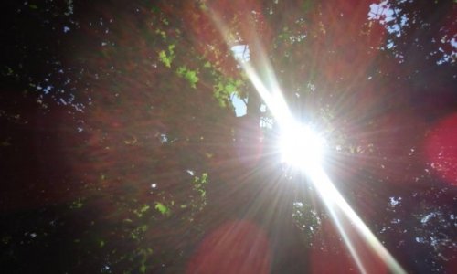 セルフレクチャー会終了