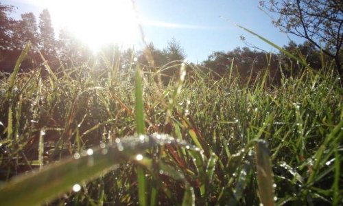 ルミ・カペさんで「癒し空間」