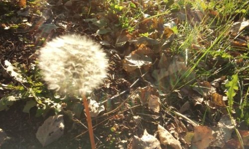 キラキラな朝♪