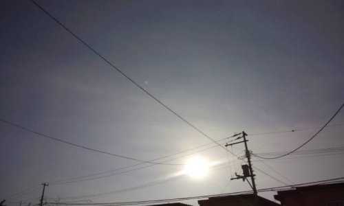 今年もよろしくお願いいたします。