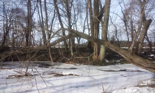 顔コリほぐしモデルさん^^