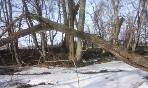 ルミ・カペ 「ワンディ癒し空間 5」終了しました♪