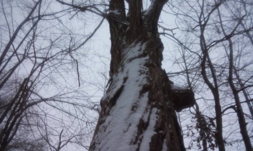 ルミカペ ワンディ「癒し空間6」終了しました♪