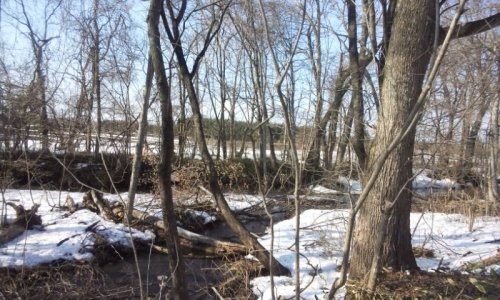 ルミ・カペ ワンディ「癒し空間番外編」終了しました。