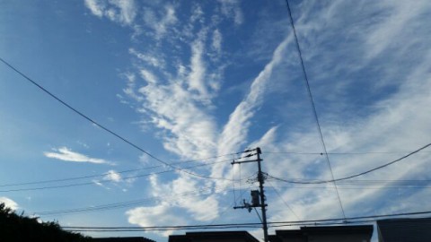 今日の空。