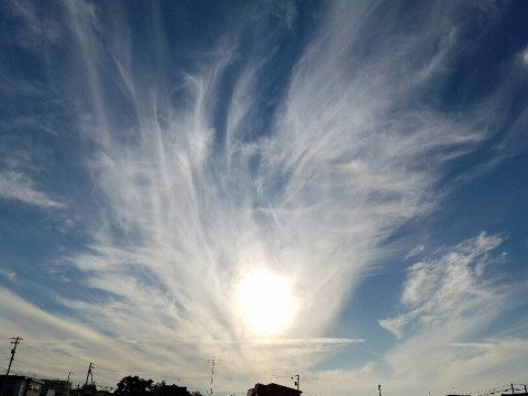 曇りと雨の間の青空は・・・