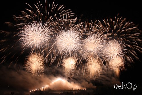 勝毎花火2010