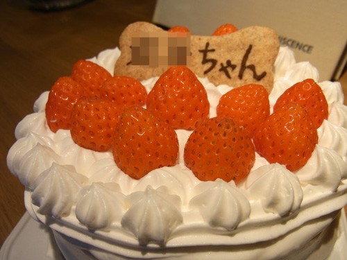 ワンコ用ケーキをオーダー