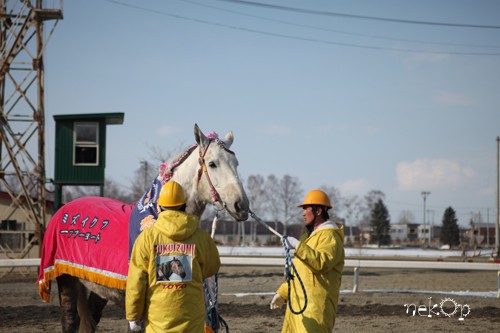 ばんえい競馬の引退式