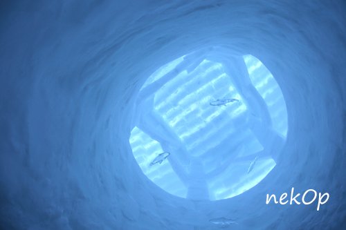 しかりべつ湖コタン