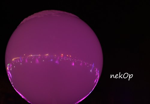 フォトコン投票期間中です!