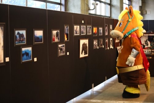 ばんえい写真展 開催期間延長します